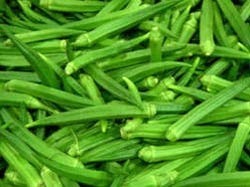 Fresh Lady Finger Manufacturer Supplier Wholesale Exporter Importer Buyer Trader Retailer in Amritsar Punjab India